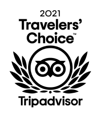 2021 traveler's choice tripadvisor black logo