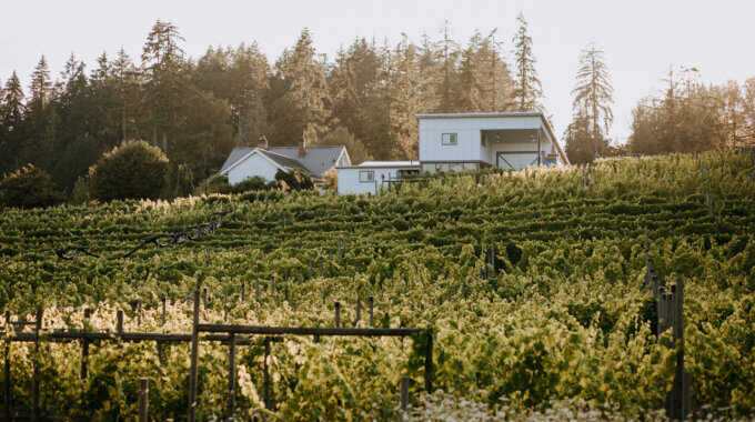Emandare Vineyards | Winemaker’s Dinner Series