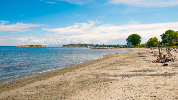 Willows Beach Cleanup
