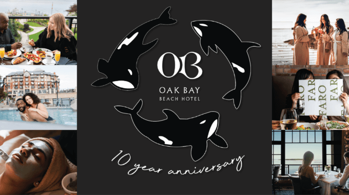 10 Year Anniversary Celebrations