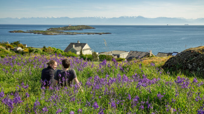 Spring in Victoria, BC: A Family-Friendly Escape at Oak Bay Beach Hotel