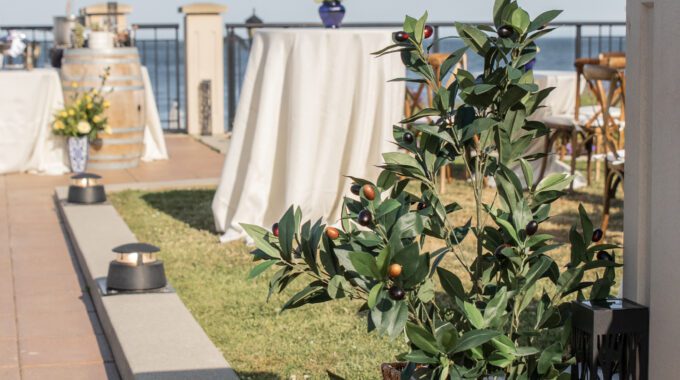 Fall Corporate Meetings & Group Retreats in Victoria, BC: Book Now at Oak Bay Beach Hotel